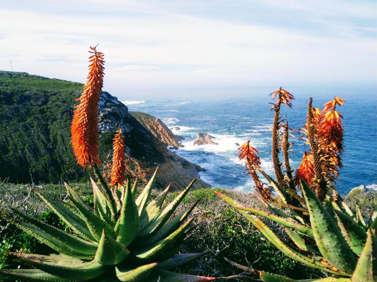 Appartamento Sea-View Nautica @ Mossel Bay Esterno foto